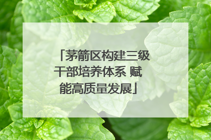 茅箭区构建三级干部培养体系 赋能高质量发展