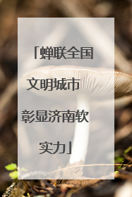 蝉联全国文明城市 彰显济南软实力