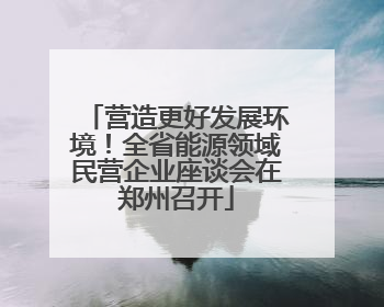 营造更好发展环境！全省能源领域民营企业座谈会在郑州召开