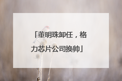 董明珠卸任，格力芯片公司换帅