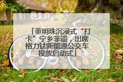 董明珠沉浸式“打卡”宁乡非遗，出席格力钛新能源公交车投放启动式