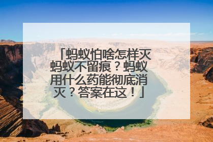 蚂蚁怕啥怎样灭蚂蚁不留痕？蚂蚁用什么药能彻底消灭？答案在这！