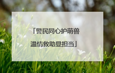 警民同心护萌兽 温情救助显担当