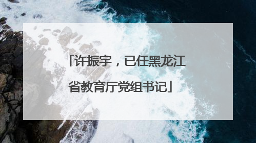 许振宇，已任黑龙江省教育厅党组书记