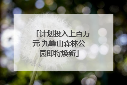 计划投入上百万元 九峰山森林公园即将焕新
