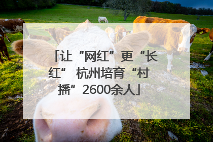 让“网红”更“长红” 杭州培育“村播”2600余人