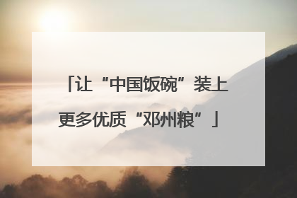 让“中国饭碗”装上更多优质“邓州粮”