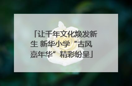 让千年文化焕发新生 新华小学“古风嘉年华”精彩纷呈