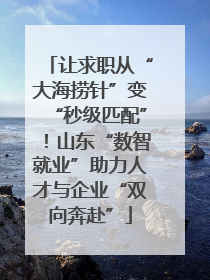 让求职从“大海捞针”变“秒级匹配”！山东“数智就业”助力人才与企业“双向奔赴”