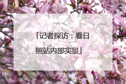 记者探访：看日照站内部实景