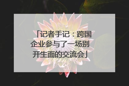 记者手记：跨国企业参与了一场别开生面的交流会