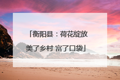 衡阳县：荷花绽放 美了乡村 富了口袋