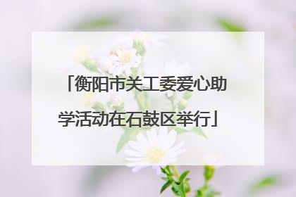 衡阳市关工委爱心助学活动在石鼓区举行
