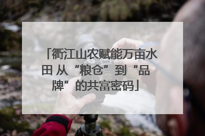 衢江山农赋能万亩水田 从“粮仓”到“品牌”的共富密码