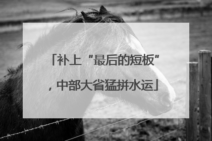 补上“最后的短板”，中部大省猛拼水运