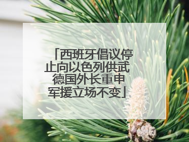 西班牙倡议停止向以色列供武 德国外长重申军援立场不变