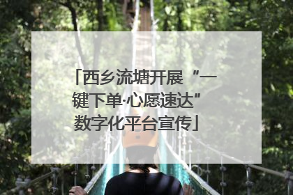 西乡流塘开展“一键下单·心愿速达”数字化平台宣传