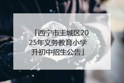 西宁市主城区2025年义务教育小学升初中招生公告