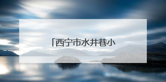 西宁市水井巷小学：牢记党的教导 争做强国少年