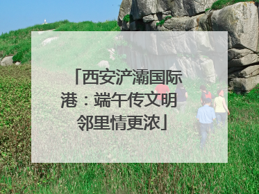 西安浐灞国际港：端午传文明 邻里情更浓