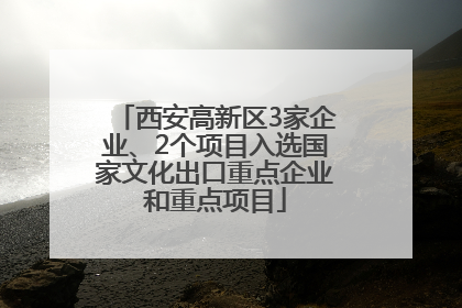 西安高新区3家企业、2个项目入选国家文化出口重点企业和重点项目