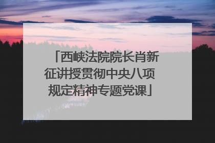 西峡法院院长肖新征讲授贯彻中央八项规定精神专题党课