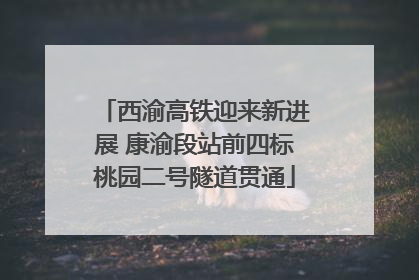 西渝高铁迎来新进展 康渝段站前四标桃园二号隧道贯通