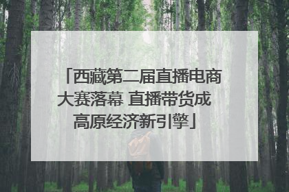 西藏第二届直播电商大赛落幕 直播带货成高原经济新引擎