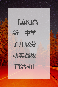 襄阳高新一中学子开展劳动实践教育活动