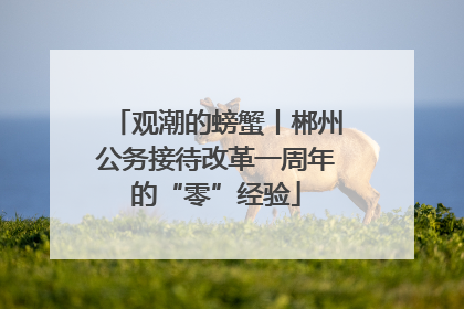 观潮的螃蟹丨郴州公务接待改革一周年的“零”经验
