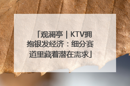观澜亭｜KTV拥抱银发经济：细分赛道里藏着潜在需求
