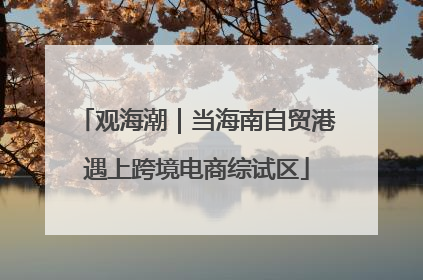 观海潮｜当海南自贸港遇上跨境电商综试区