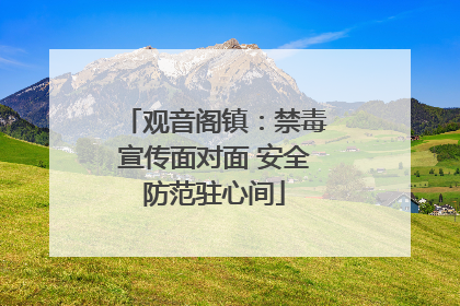 观音阁镇：禁毒宣传面对面 安全防范驻心间
