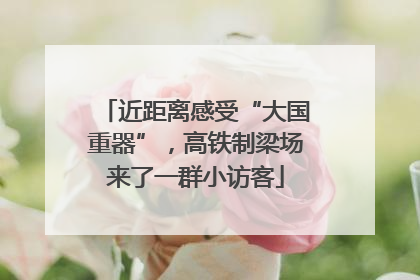 近距离感受“大国重器”，高铁制梁场来了一群小访客