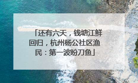 还有六天，钱塘江鲜回归，杭州杨公社区渔民：第一波盼刀鱼