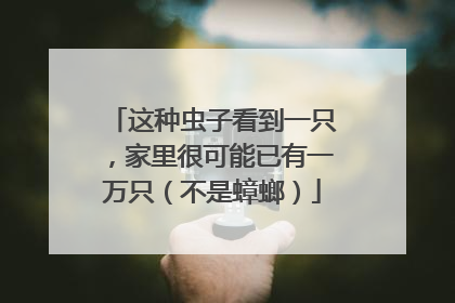 这种虫子看到一只，家里很可能已有一万只（不是蟑螂）