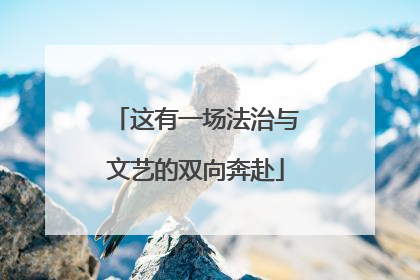 这有一场法治与文艺的双向奔赴
