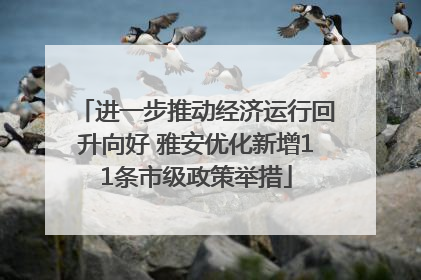 进一步推动经济运行回升向好 雅安优化新增11条市级政策举措