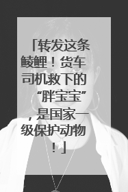 转发这条鲮鲤！货车司机救下的“胖宝宝”，是国家一级保护动物！