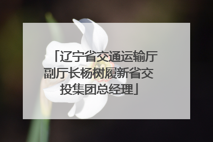 辽宁省交通运输厅副厅长杨树履新省交投集团总经理