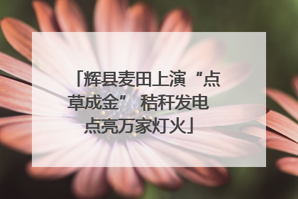 辉县麦田上演“点草成金” 秸秆发电点亮万家灯火