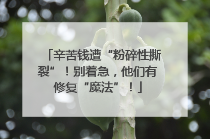 辛苦钱遭“粉碎性撕裂”！别着急，他们有修复“魔法”！