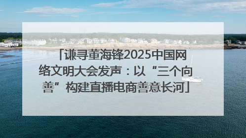 谦寻董海锋2025中国网络文明大会发声：以“三个向善”构建直播电商善意长河