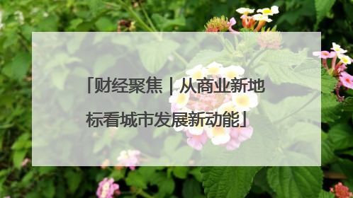 财经聚焦｜从商业新地标看城市发展新动能
