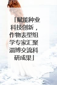 赋能种业科技创新，作物表型组学专家汇聚淄博交流科研成果
