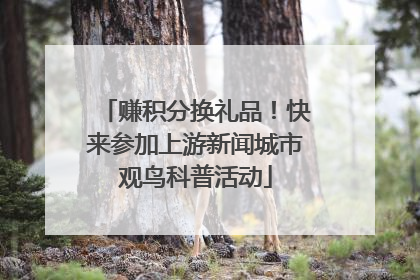 赚积分换礼品！快来参加上游新闻城市观鸟科普活动
