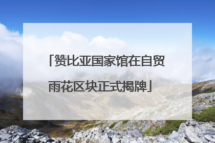 赞比亚国家馆在自贸雨花区块正式揭牌