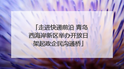 走进快递前沿 青岛西海岸新区举办开放日架起政企民沟通桥