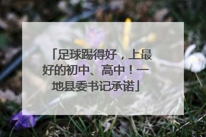 足球踢得好，上最好的初中、高中！一地县委书记承诺