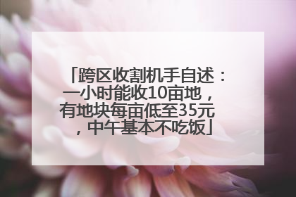 跨区收割机手自述：一小时能收10亩地，有地块每亩低至35元，中午基本不吃饭